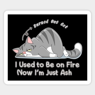 funny cat_Burned Out Cat Magnet